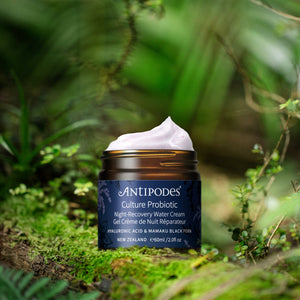 Antipodes Culture Probiotic Night Recovery Water Cream 60ml official atmosphere image